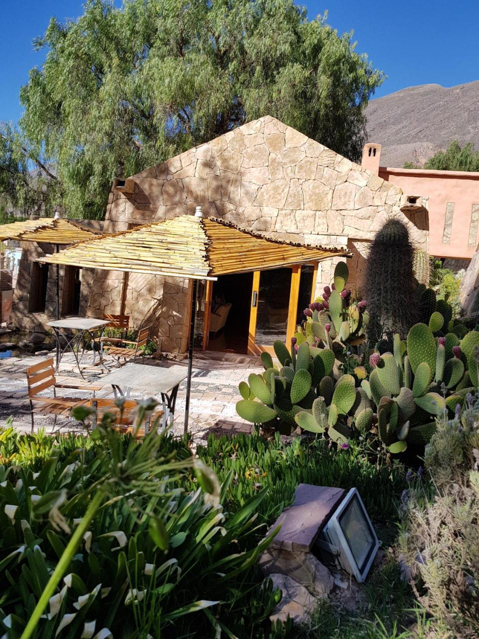 Las Terrazas Hotel Boutique 틸카라 외부 사진